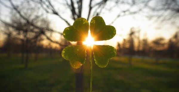 5 stappen om gelukkig te zijn met hulp van je intuïtie